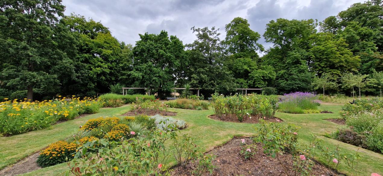 11 Sutton parks recognised as being the very best in the UK London Post