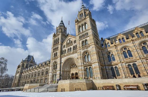 FESTIVITIES AT THE NATURAL HISTORY MUSEUM THIS CHRISTMAS - London Post