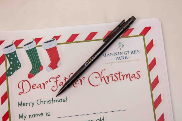Manningtree Park Christmas - Envelope