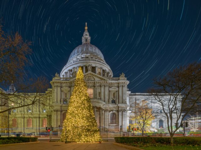 The St Paul's Christmas Tree