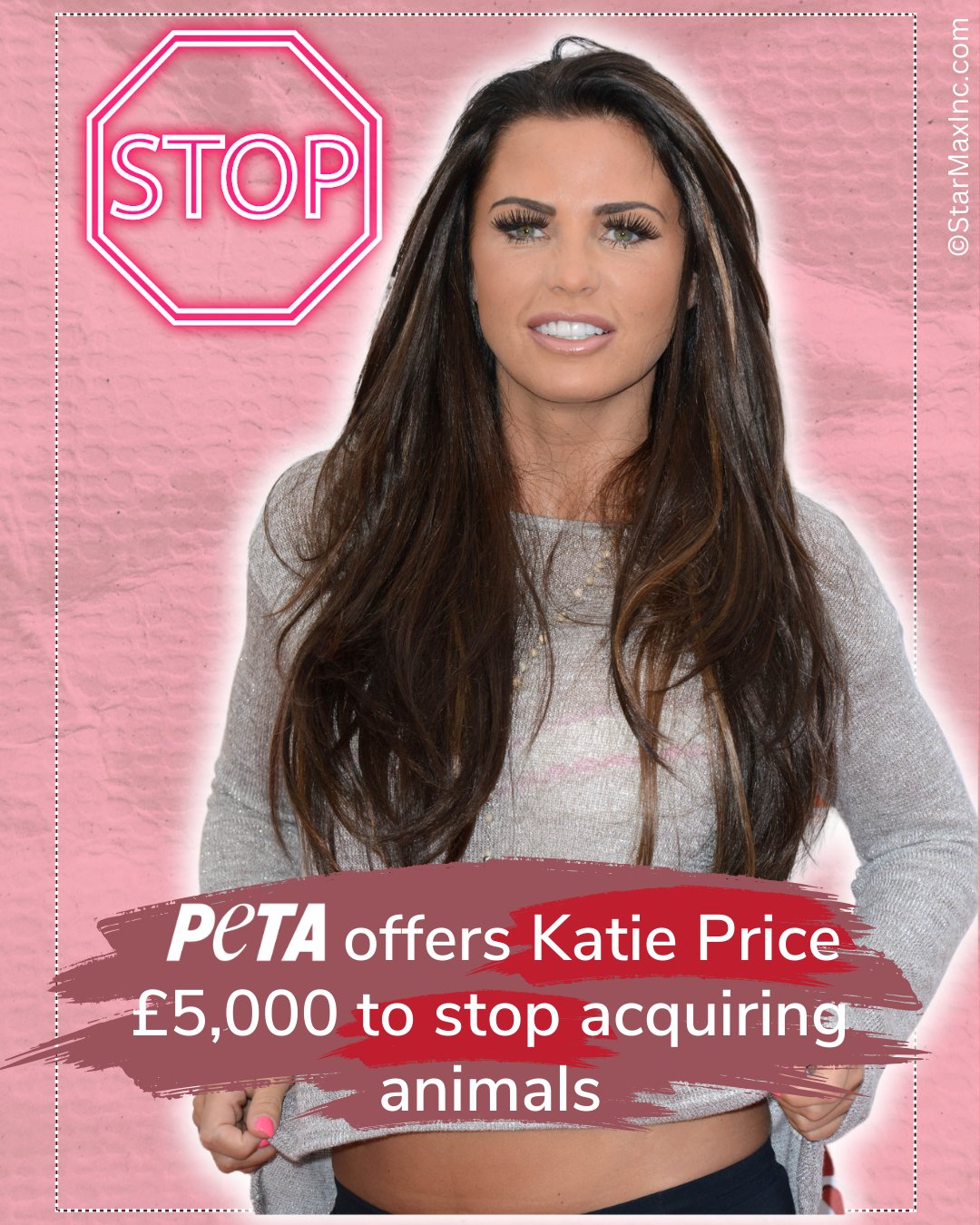 PETA Offers Katie Price £5,000 to Stop Acquiring Animals - London Post