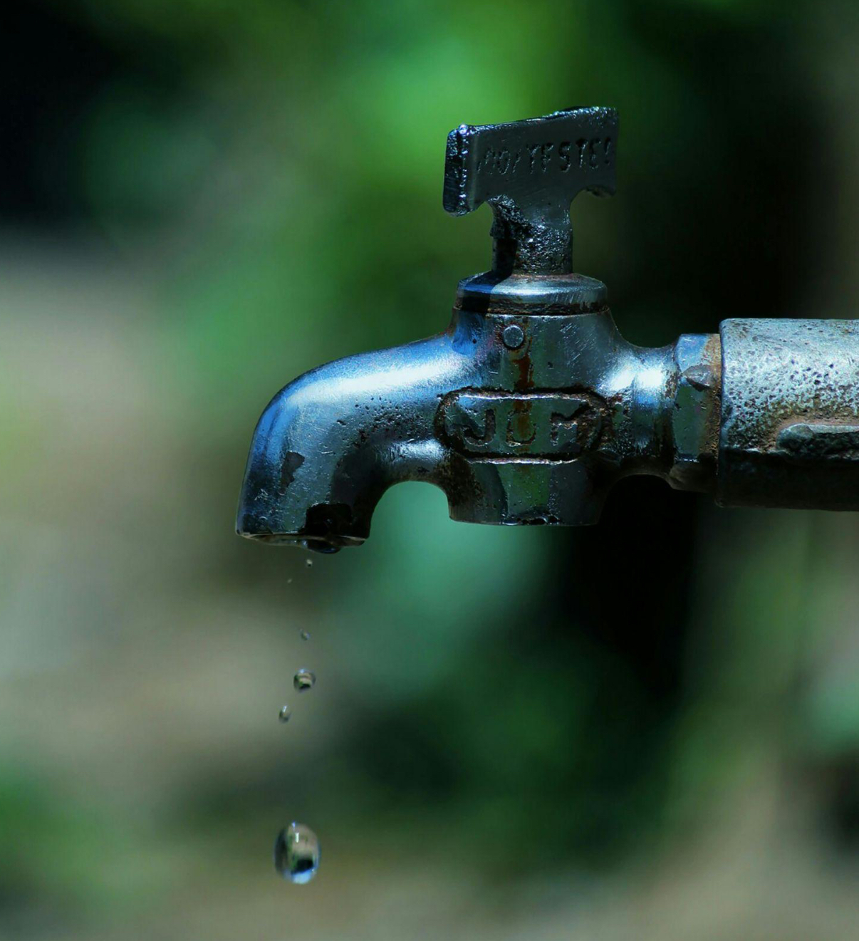 The Benefits of Installing an Outdoor Tap for Your Garden - London Post