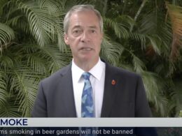 Government ‘must take Britain’s national security more seriously’ says Nigel Farage