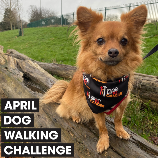 SU2C April Walkies Challenge