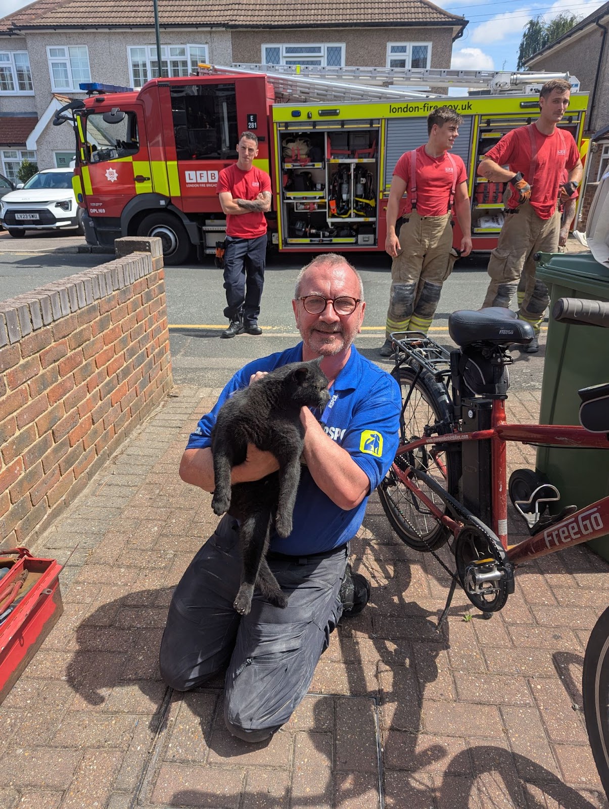 Oreo the cat rescued from narrow gap between houses by RSPCA and LFB ...