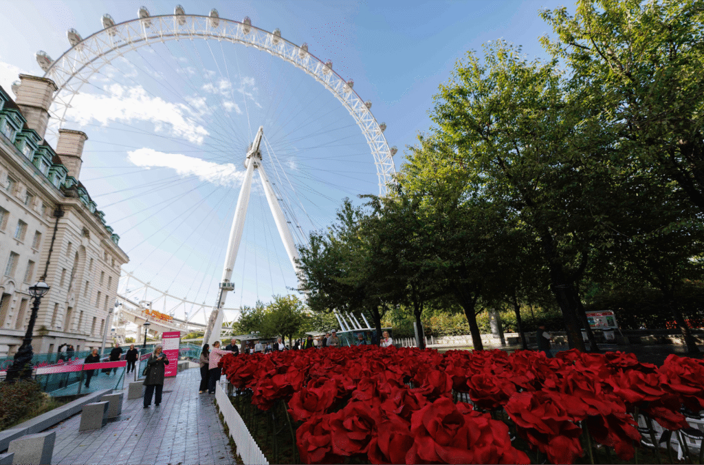 ENGLAND’S RED ROSES CELEBRATED WITH STUNNING LONDON EYE DISPLAY ...