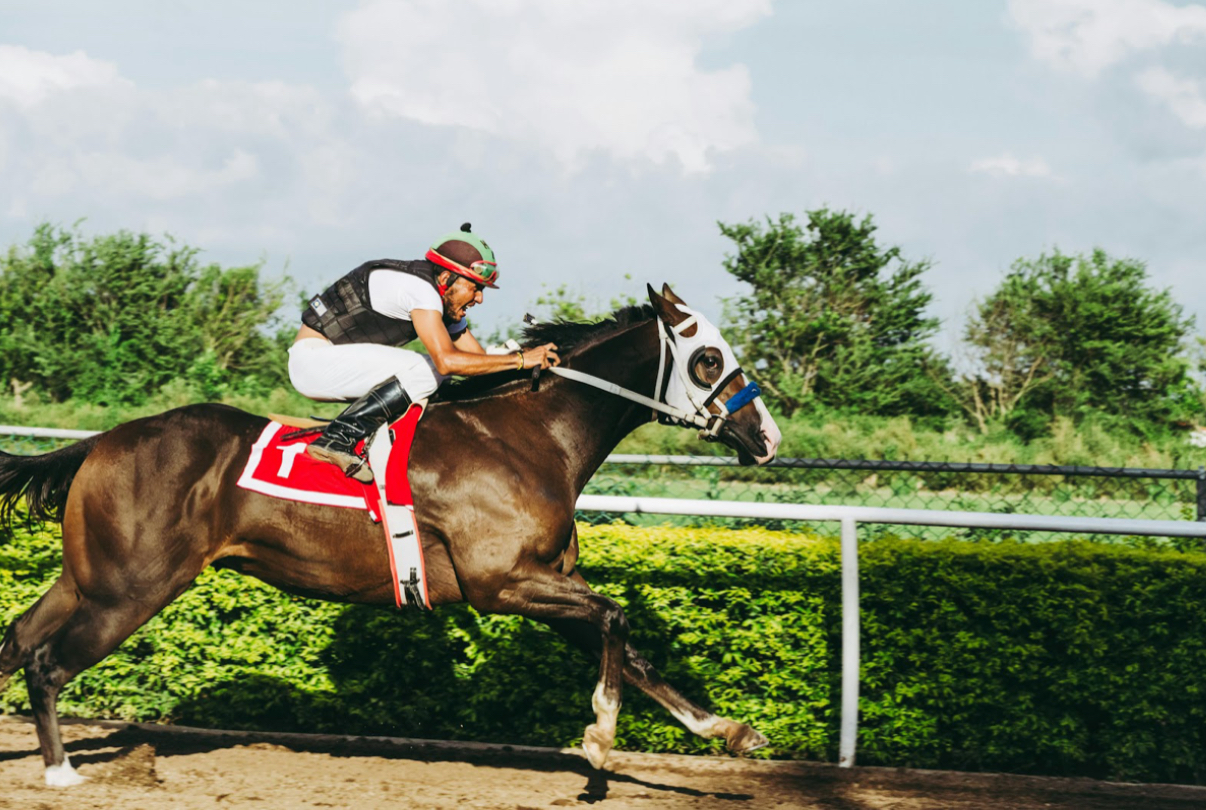 Lendon Racing Why Did British Racing Strike in September? - London Post