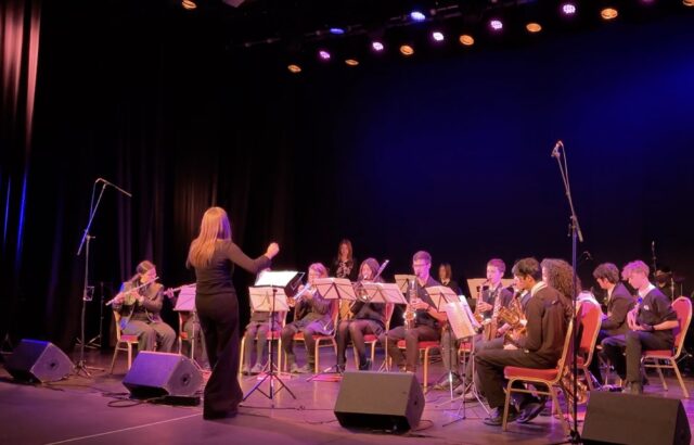 Southgate School Enfield Music Festival 2