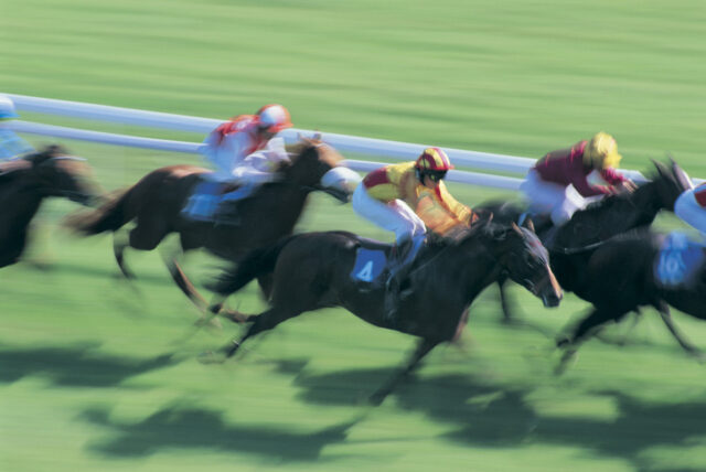 Horse racing, Bath, North East Somerset, UK
