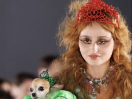 Lloyds and Chopova Lowena unveils extreme “overprotective wear for pets” with dogs on the catwalk at London Fashion Week