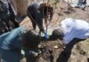 Boosting local biodiversity: Veolia Orchard applications open in Westminster for 2026