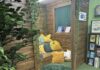 New chapter for Boxgrove Primary School as Reading Grove opens