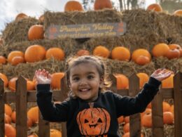 Visit A Pumpkin Patch With a Twist at Hertfordshire Zoo This Half Term