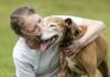 UK Govt budget ‘must support’ pet owners as staggering costs of animal harms revealed