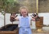 Veolia Orchard scheme reopens for Haringey schools and community groups